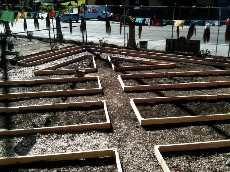 Oficina Publica Saludable : Jardines en el Desierto