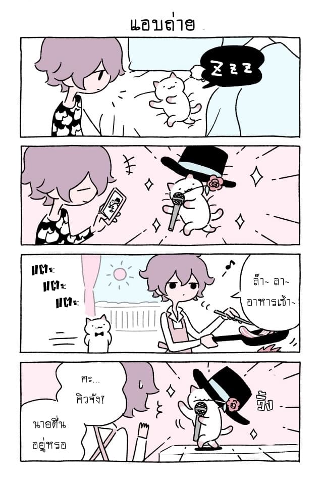 Wonder Cat Kyuu-chan - หน้า 6