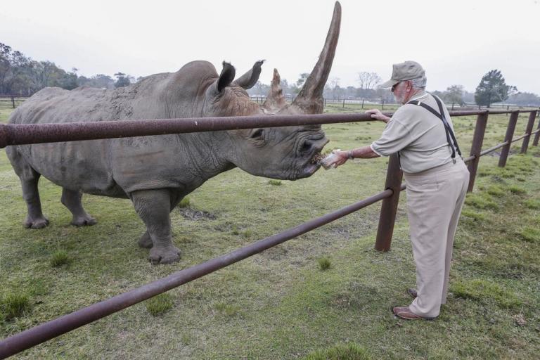 The Zoo Review From The News Want To Buy A Zoo