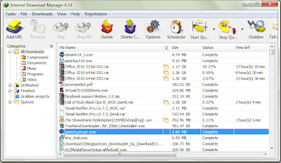Internet Download Manager 6.15 Build 9 Screenshot