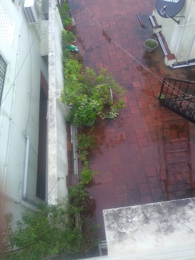 Terrace Garden Rain Effect and Saving Rain Water