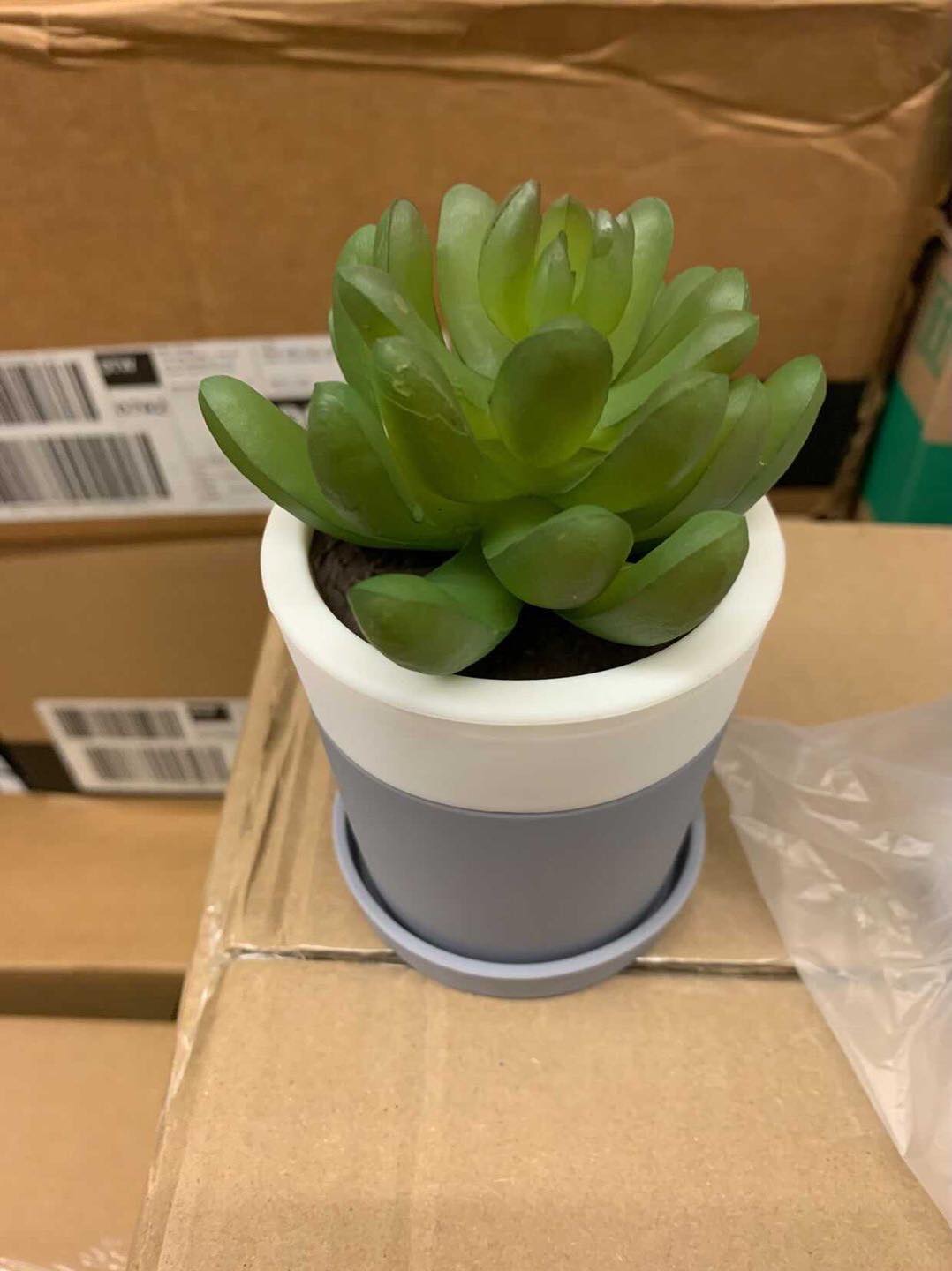 Life Inside the Page Bath & Body Works Flower Pot With Succulents