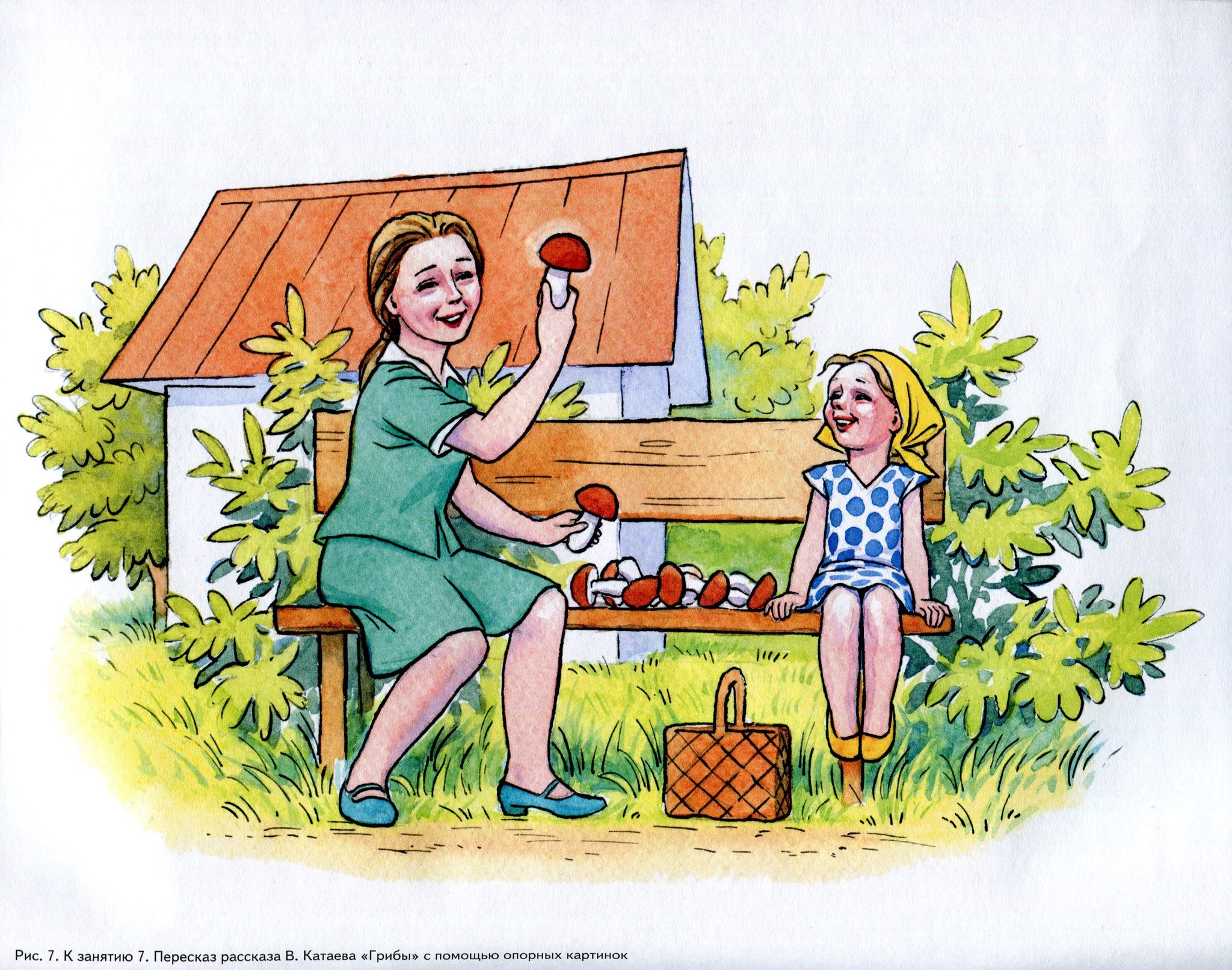 Изображение по картинке. Катаев грибы. Иллюстрации к рассказу Катаева грибы. Катаев грибы иллюстрации. Сюжетные иллюстрации для детей.