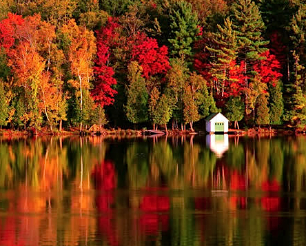 Autumn New England3