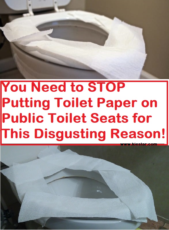 Who Invented The Paper Toilet Seat Cover toilet cool media