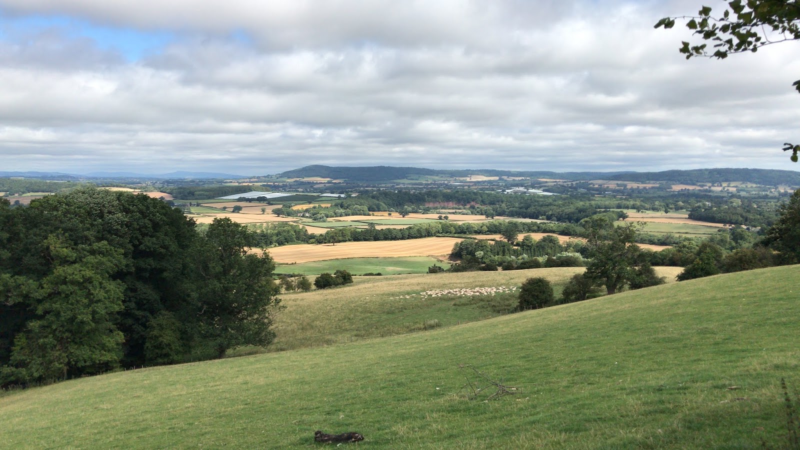 Chris's Walking Blog Bredwardine, Arthur's Stone and Dorstone