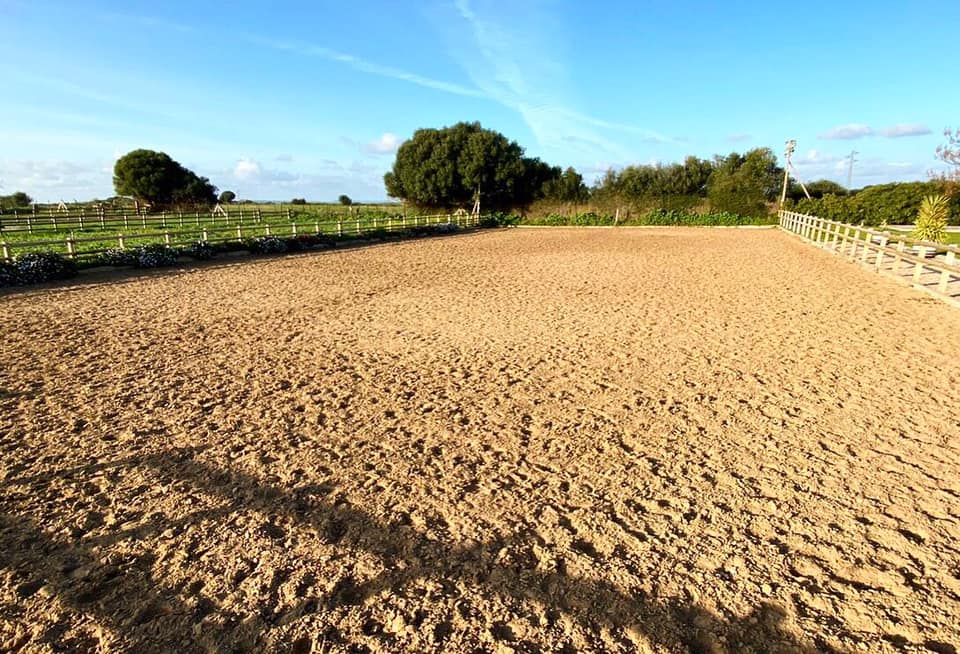 Cortijo El Indiviso, volunteer project, food and accommodation, Cadiz, Spain