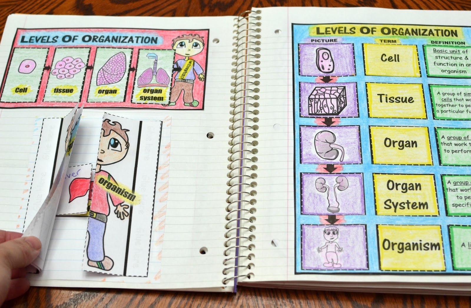 Math in Demand Science Interactive Notebook Cells