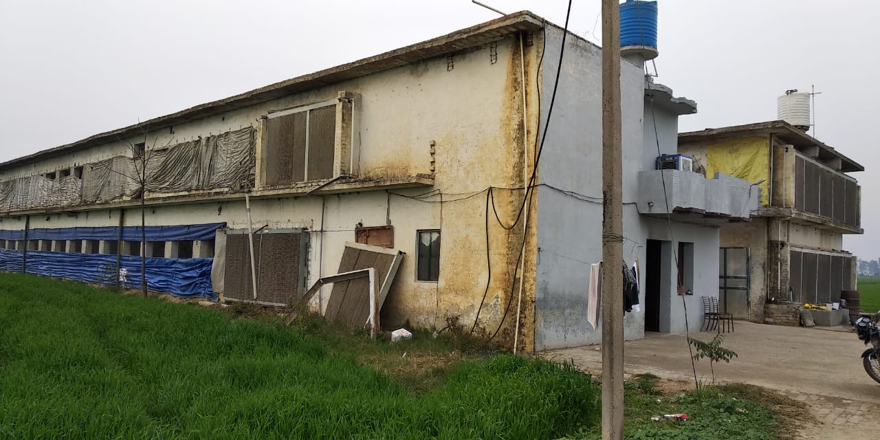 benipal property advisor poultry farm for sale benipal property advisor poultry farm for sale