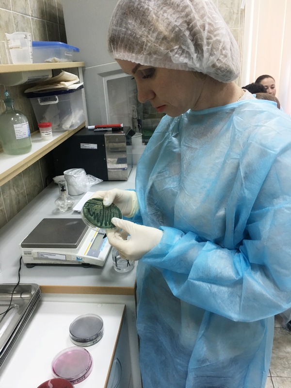 ветеринарной лабораторной диагностики. микробиологические лаборатории в вузе. микробиологическое исследование рыбы. исследование рыбы в лаборатории. исследование рыбы в лаборатории.