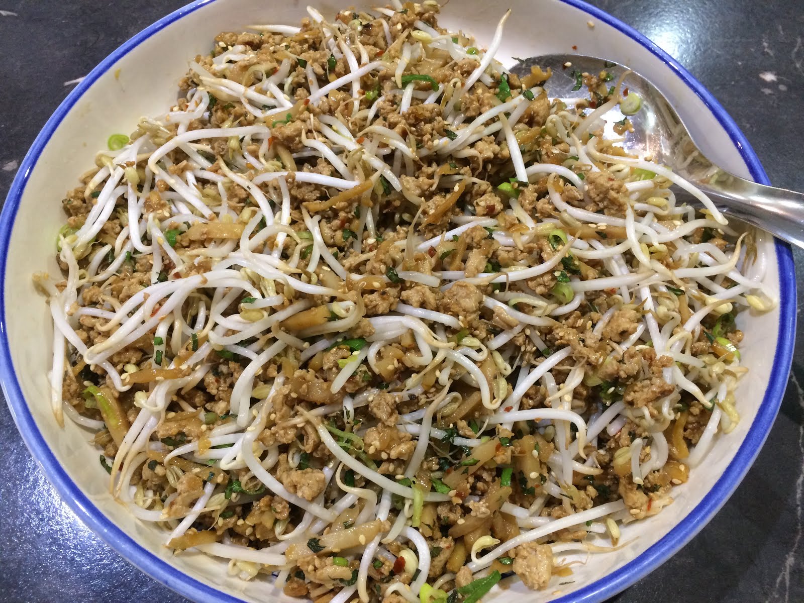 Spicy Chicken with Bean sprouts and Water chestnuts Stay Home Instead