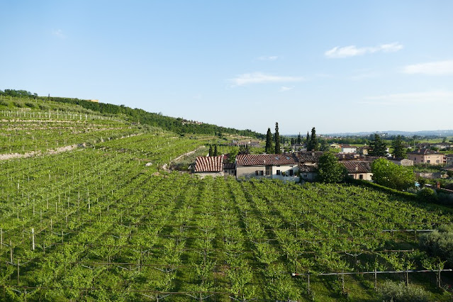 agriturismo corteforte dove dormire in valpolicella