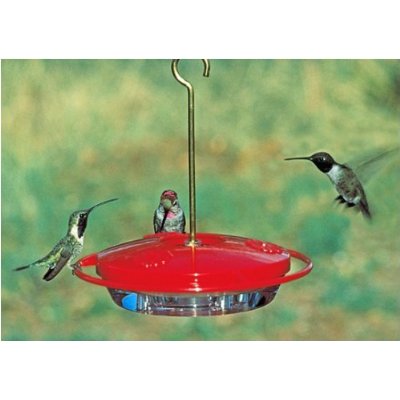 Munch Ado About Nothing Hummingbird Feeders From Amazon