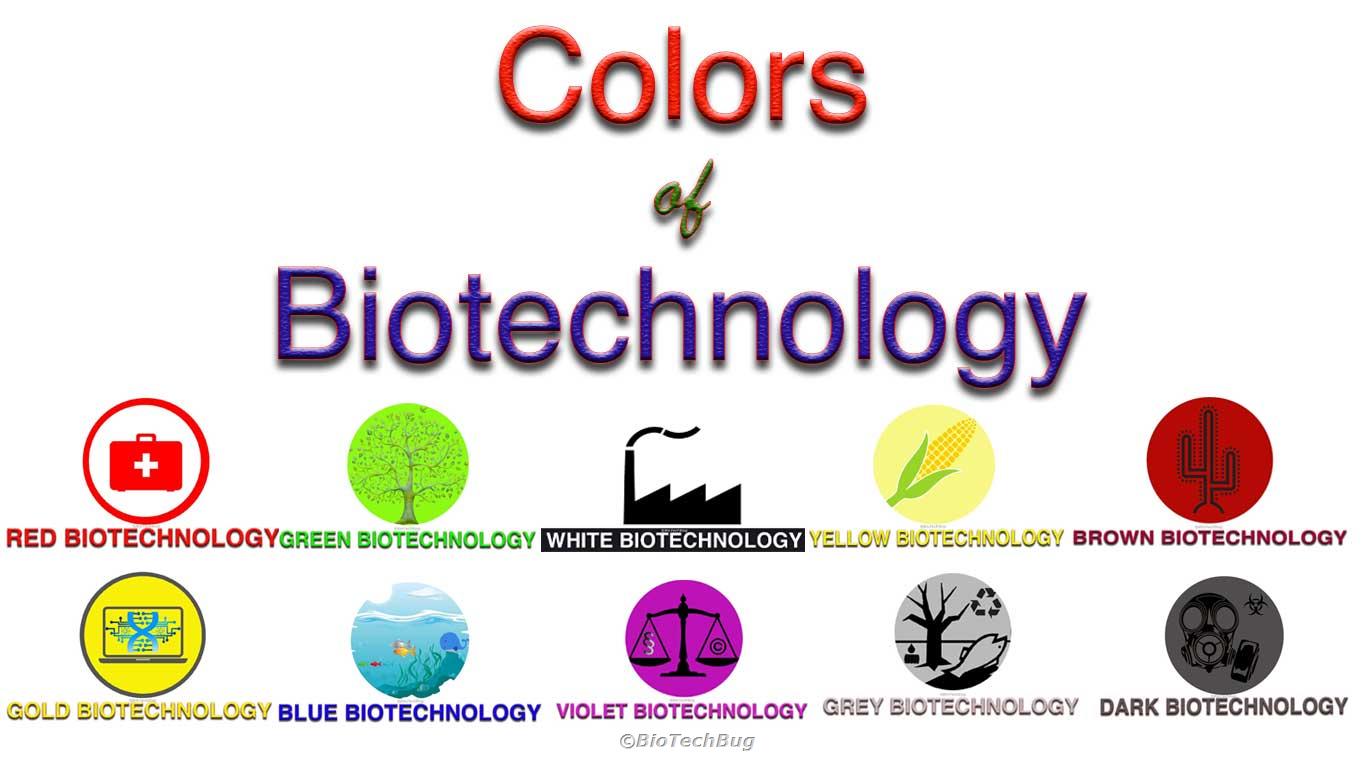 Quiz on Colors of Biotechnology