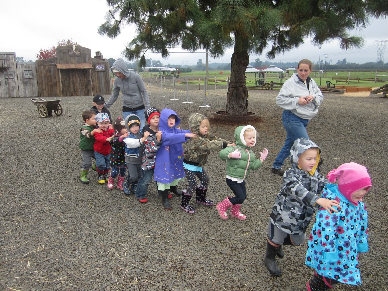 Lindsay's Little Owls Preschool Field Trip to the Pumpkin Patch