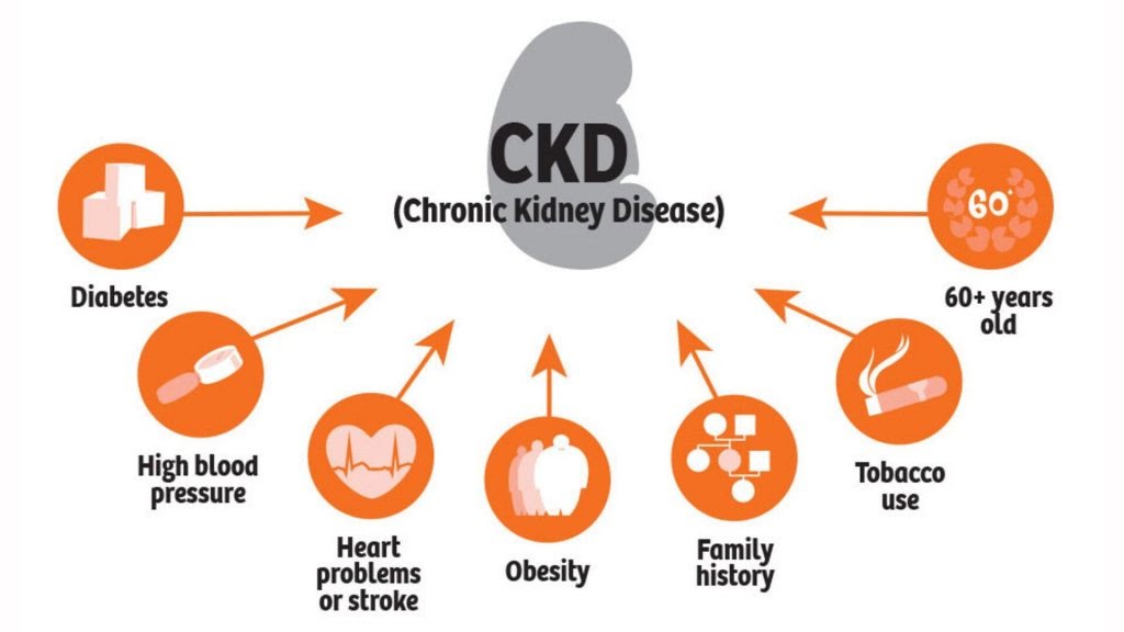 best-treatment-for-chronic-kidney-disease-their-symptoms-and-diet-plan