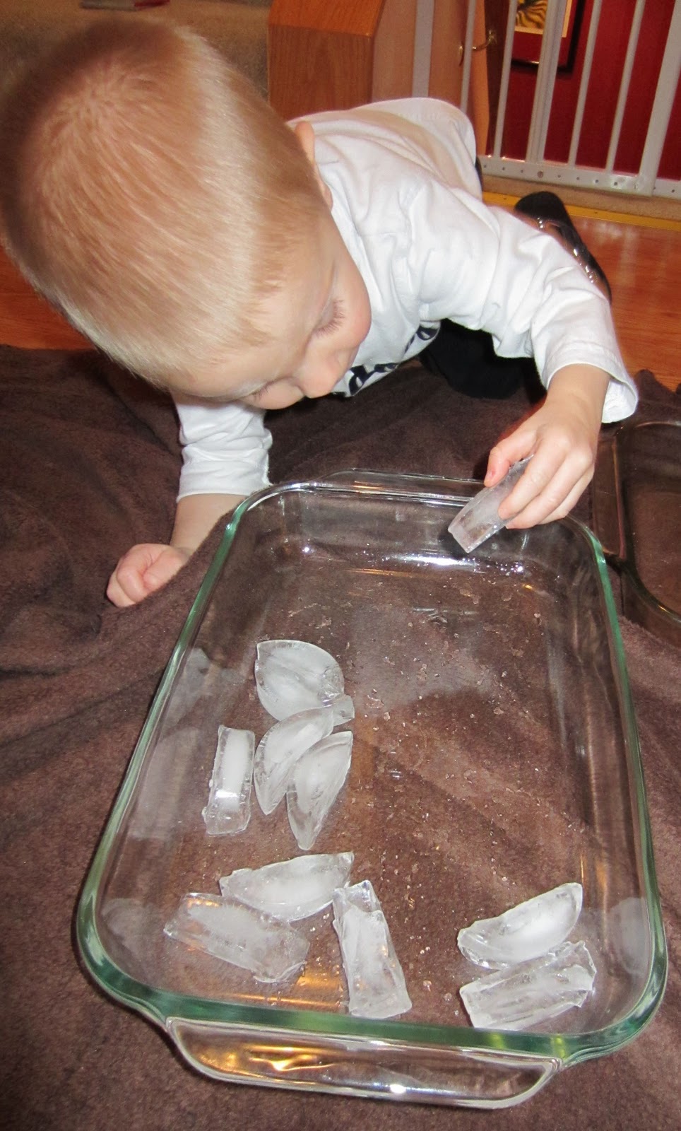 Shaving Cream/Ice Sensory Fun Still Playing School