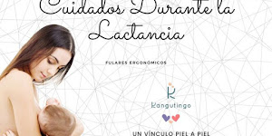 Cuidados Durante la Lactancia