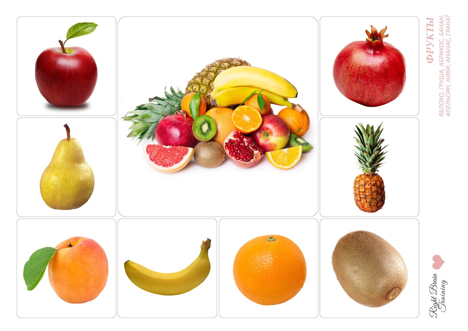 Какие фрукты есть в мае. Обобщающие понятия фрукты. Фрукты обобщающая картинка. Какой фрукт ребенок. Обобщающие понятия картинки.