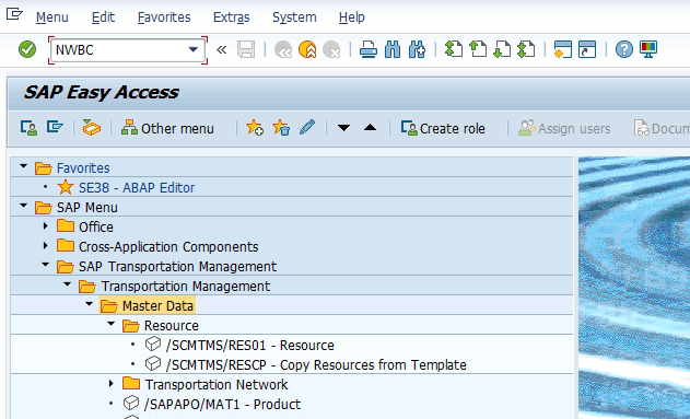 sap netweaver business client 6.0 sap netweaver business client 6.0