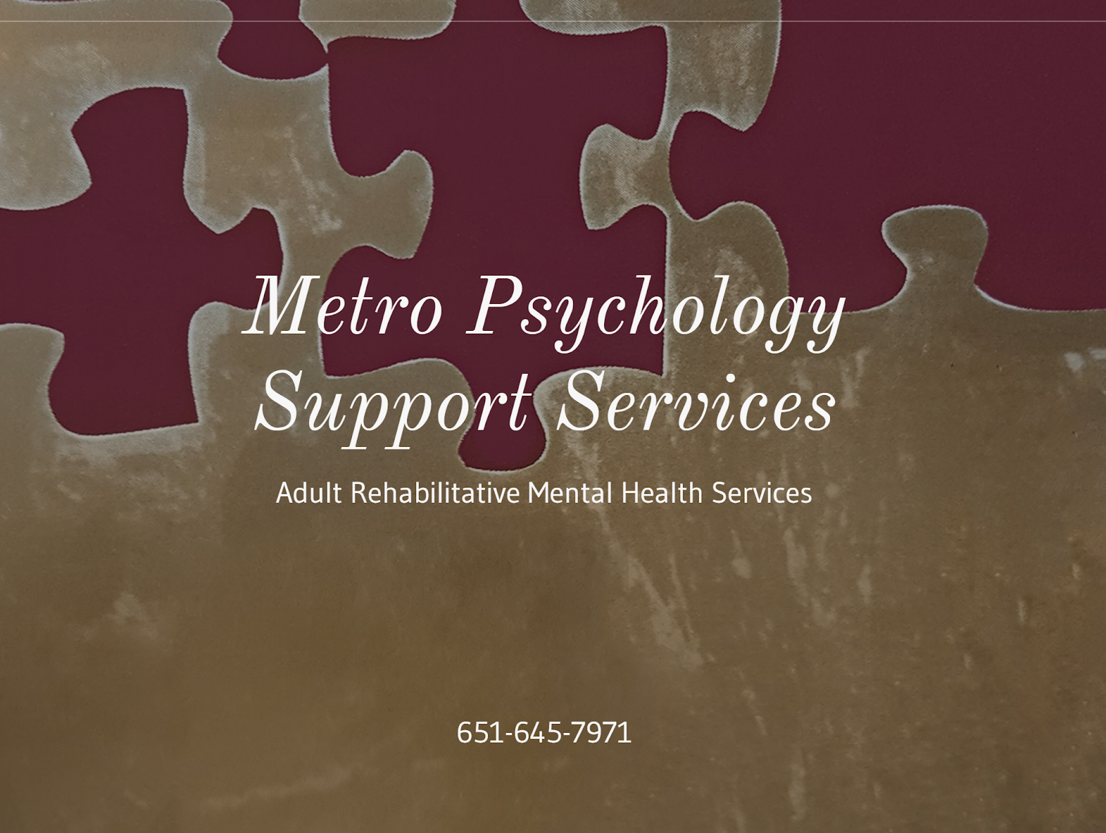 Metro Psychology Support Services