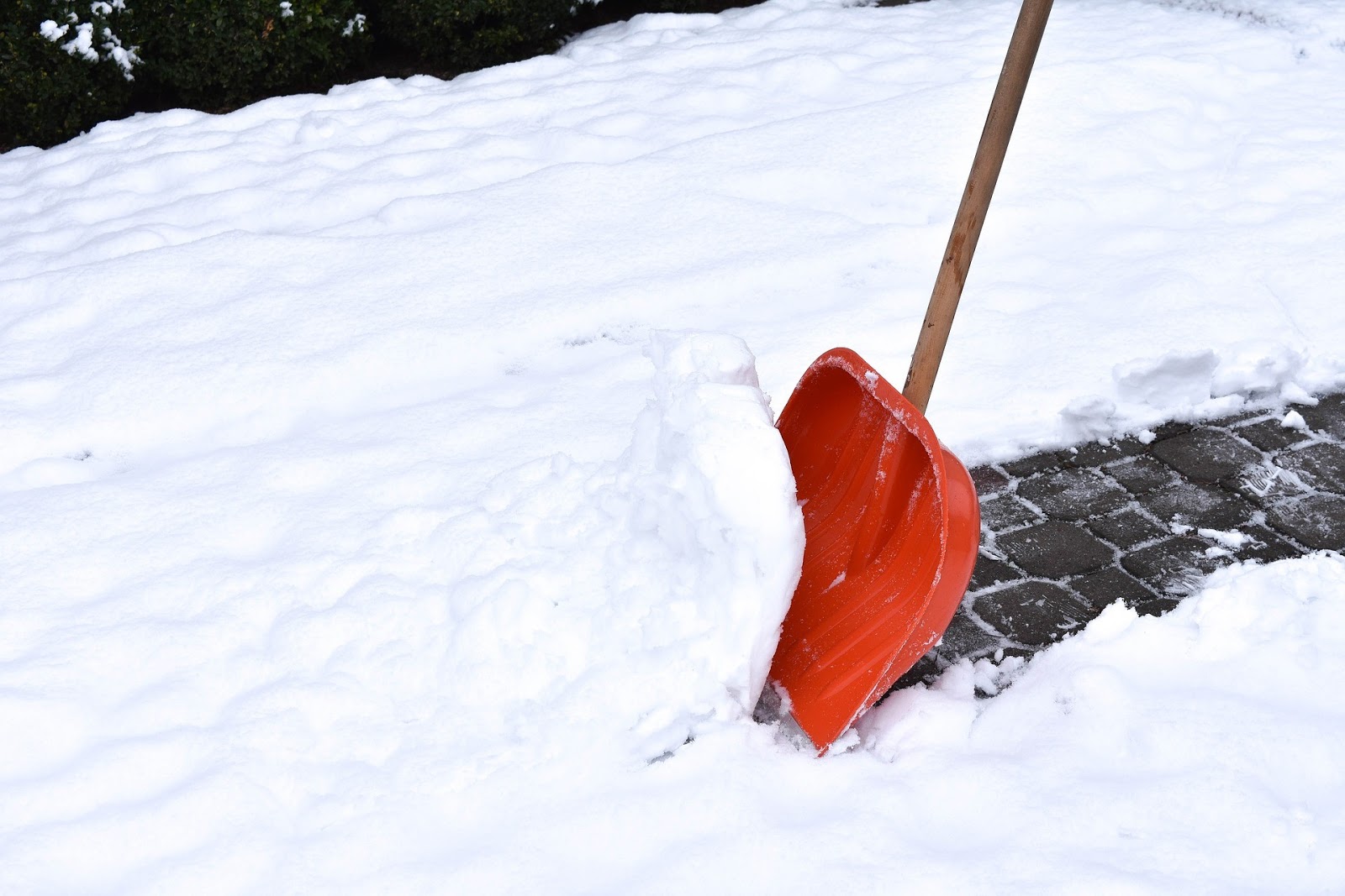 5 Different Types of Snow Shovels and Their Uses NYCM Insurance Blog