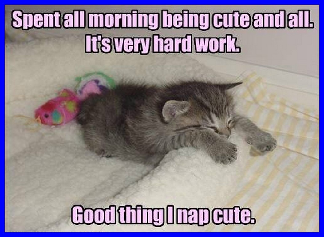 пушистый монстрик. утро существо. утро существо. сюрреализм гедеминаса працкевичуса. ужасные мифические существа.