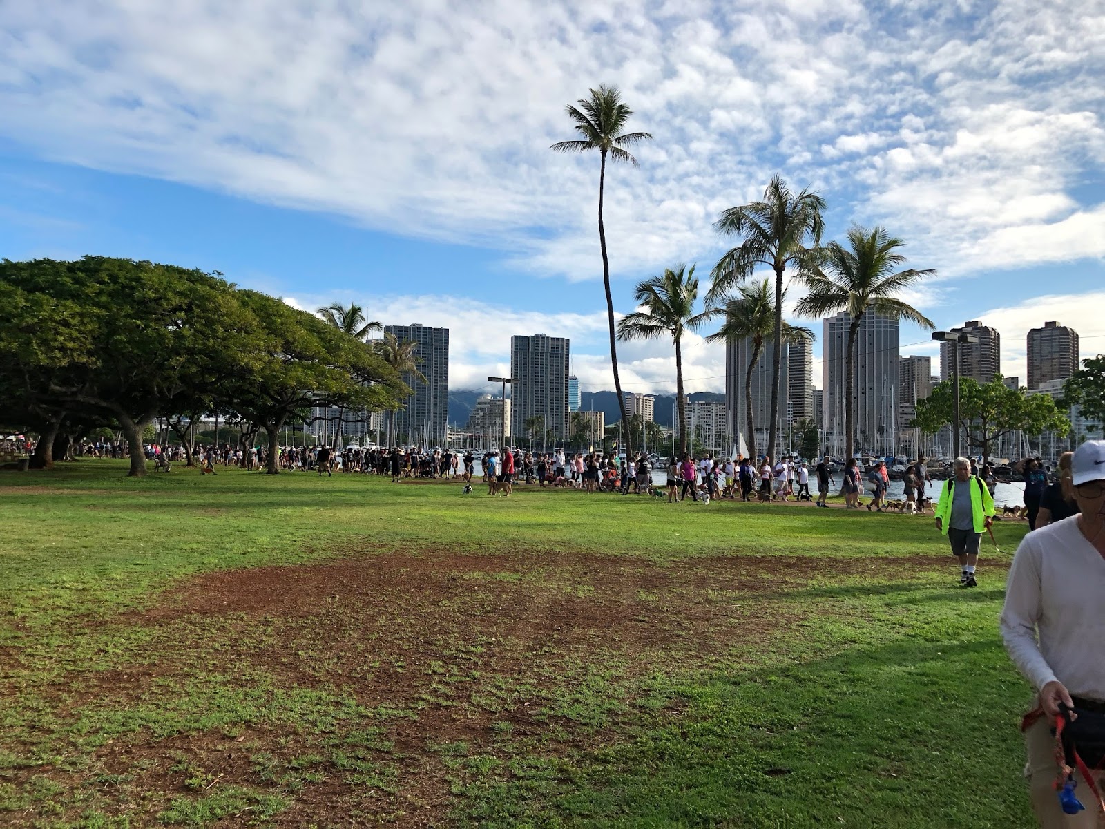 GREAT EATS HAWAII HONOLULU HUMANE SOCIETY ANNUAL PET WALK