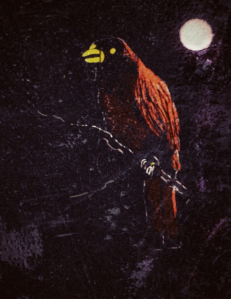 ipad mini painting night bird