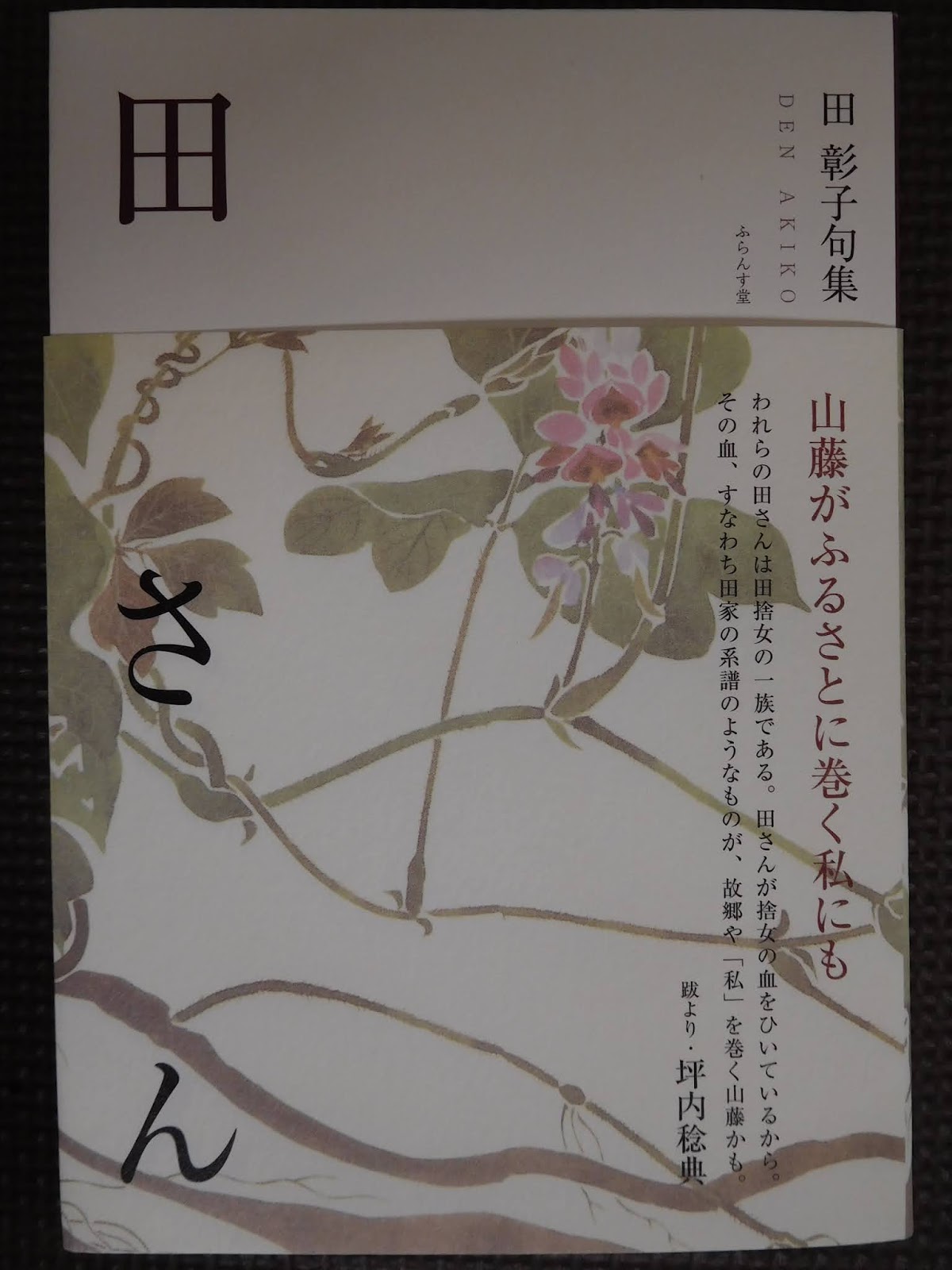 大井恒行の日日彼是 田彰子 山藤がふるさとに巻く私にも 田さん