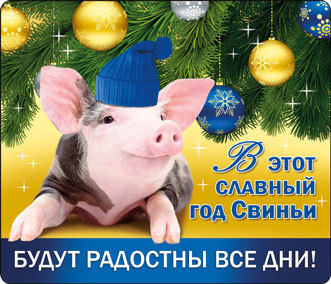 Новогодние Пожелания Предсказания В Год Свиньи