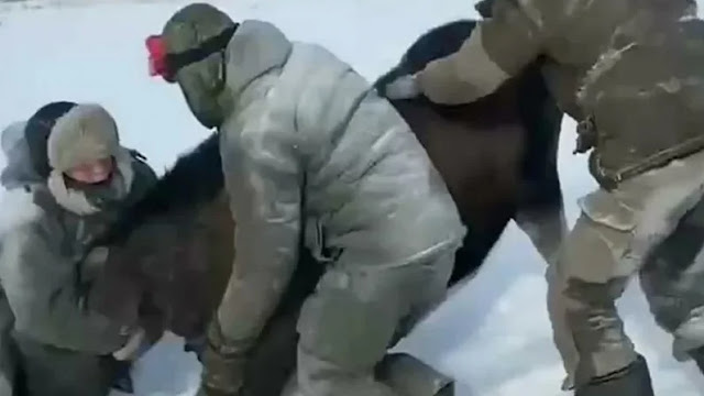 Под Тверью браконьеры на снегоходах загнали беременную лосиху и задушили её — видео