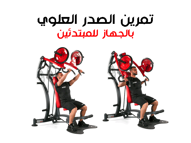 تمارين الصدرً في الجيم للمبتدئين تمارين الصدرً في الجيم للمبتدئين