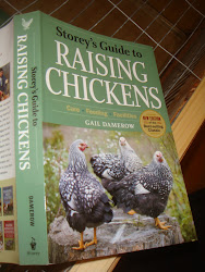 coop chicken roof neighbor feet