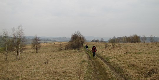 Polną drogą przez pola i łąki