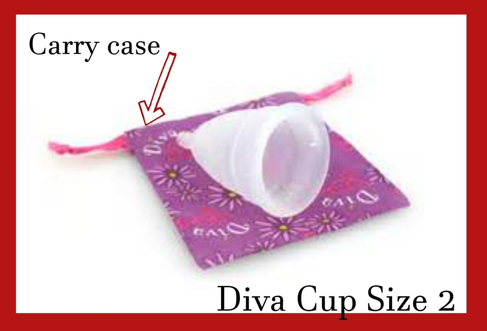 Debras Random Rambles My DIVA Cup Experience