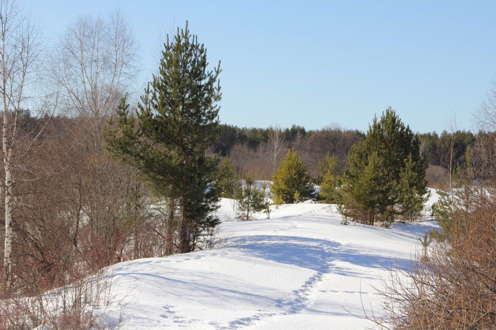 ирбит парк. белая горка ирбит. ирбит лес. бугры парк ирбит. ирбита».