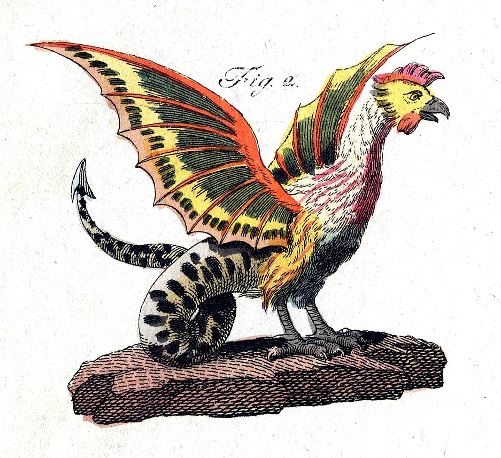 ShukerNature THE BASILISK AND THE COCKATRICE MONSTROUS MYTHOLOGY OR