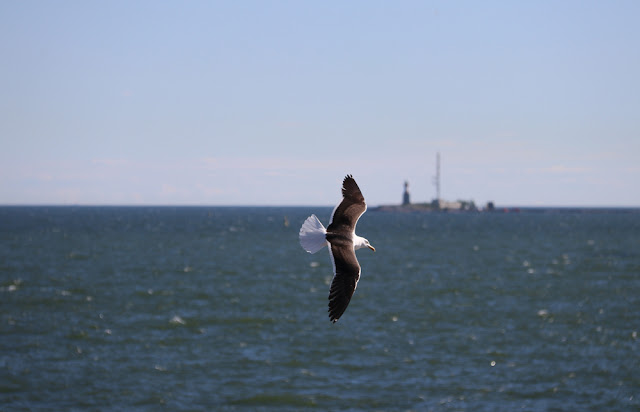 Purjeveneellä Vallisaareen 25 Purjeveneellä Vallisaareen 24