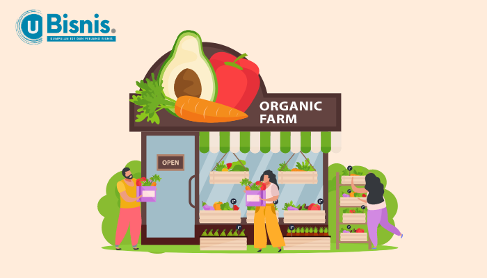 Contoh Usaha UMKM yang Potensial