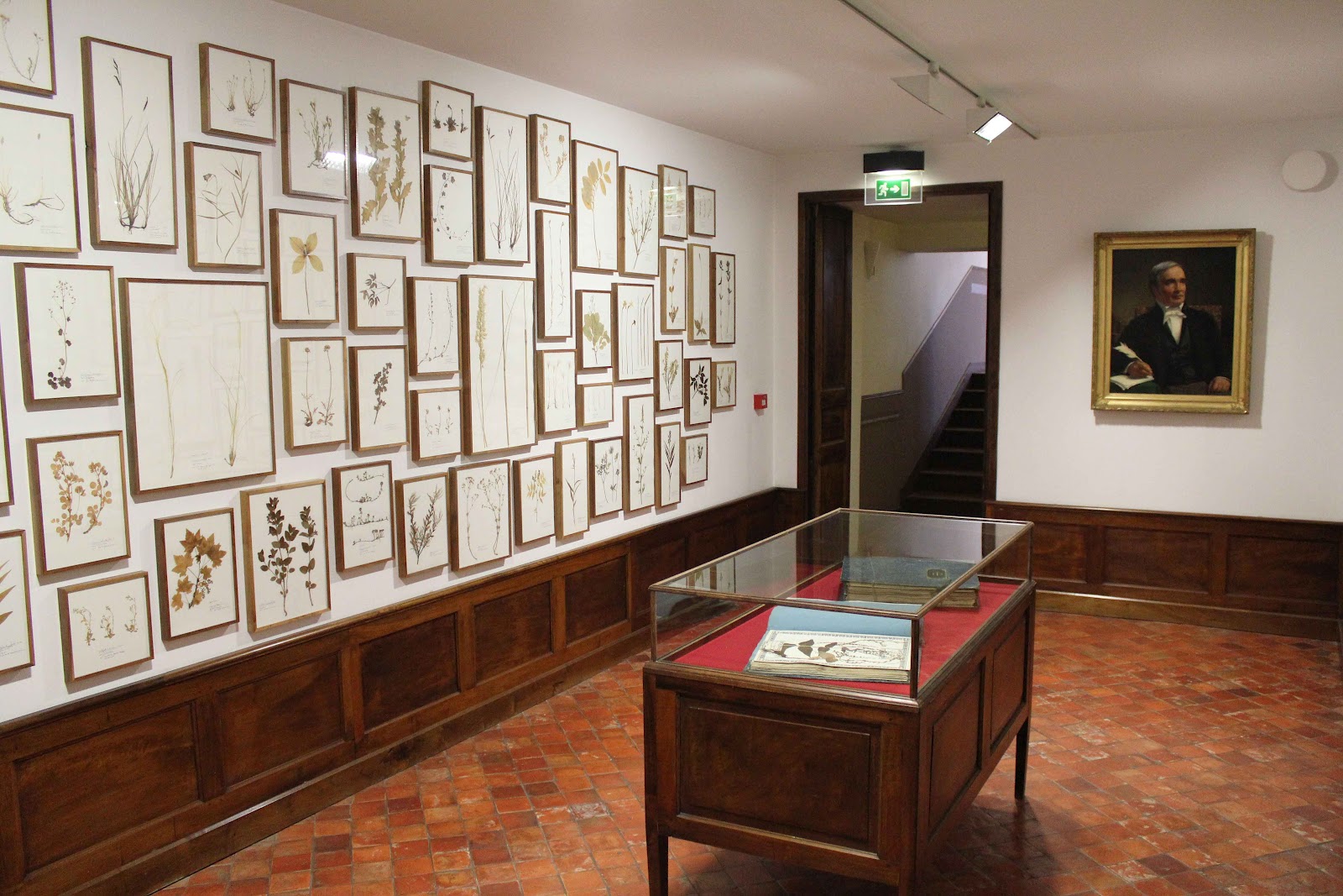 Peter Foolen herman de vries Musée Gassendi, DignelesBains