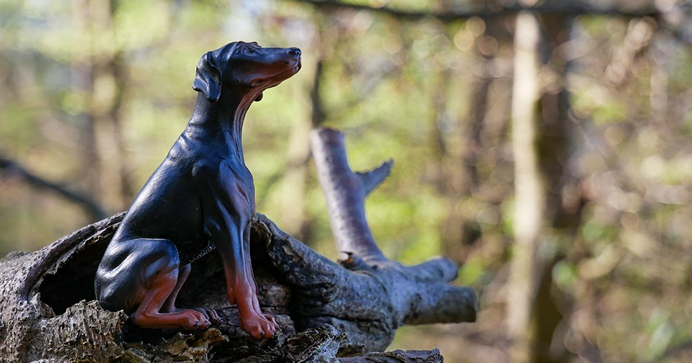 Eine Urlaubswoche In Blumenthal In Der Eifel Passenderweise In Der Kaltesten Woche Des Jahres Frauleins Wunderbare Welt
