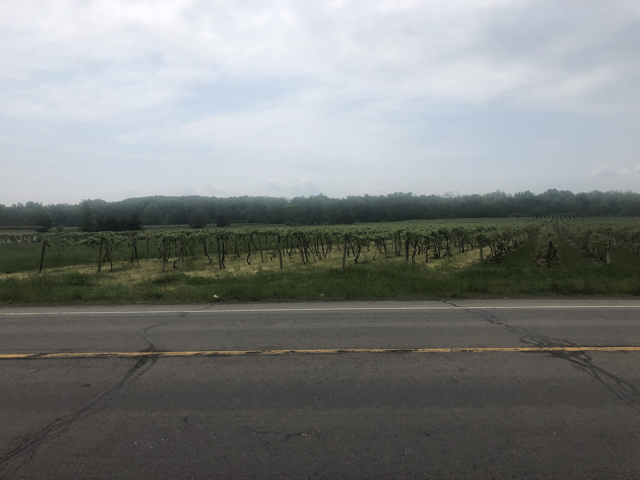 Day 17 Chaffee, NY to Westfield, NY Tot 765 miles