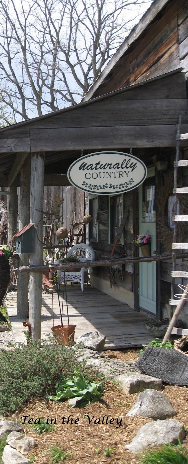 Tea In The Valley Going Country