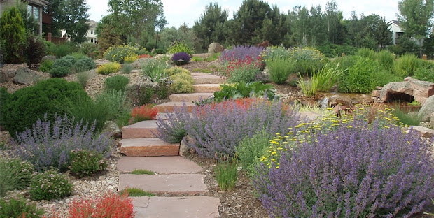 gardening arid landscapes