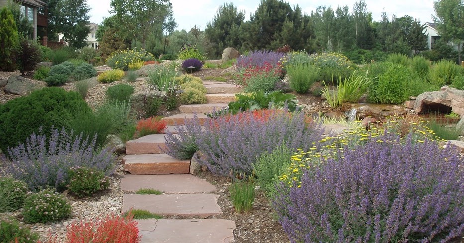 Gardening For Arid Landscapes - The Beauty of Xeriscaping