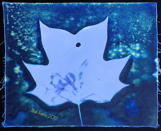 Wet cyanotype_Sue Reno_Image 101