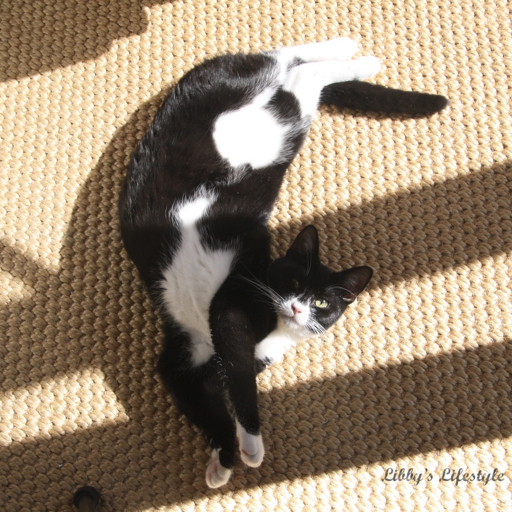 Receiving blanket, swaddling blanket tutorial the perfect gift for any