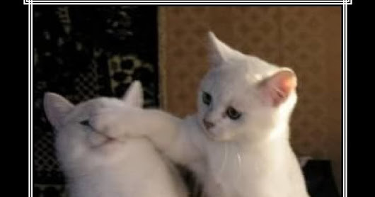 Movie Review: Batman v Superman - Dawn of Justice