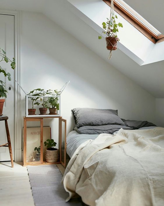 Voulez-vous un meilleur sommeil? Ajoutez ces plantes d'intérieur à votre chambre à coucher.